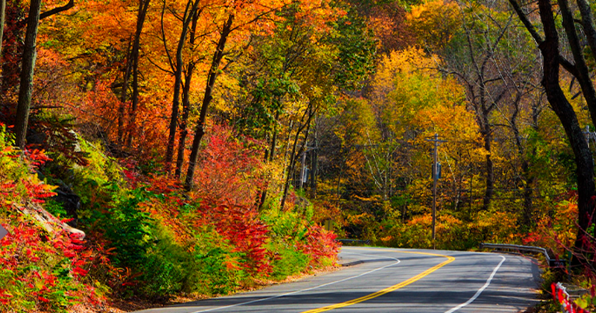 fall foliage - best things to do in the berkshires 
