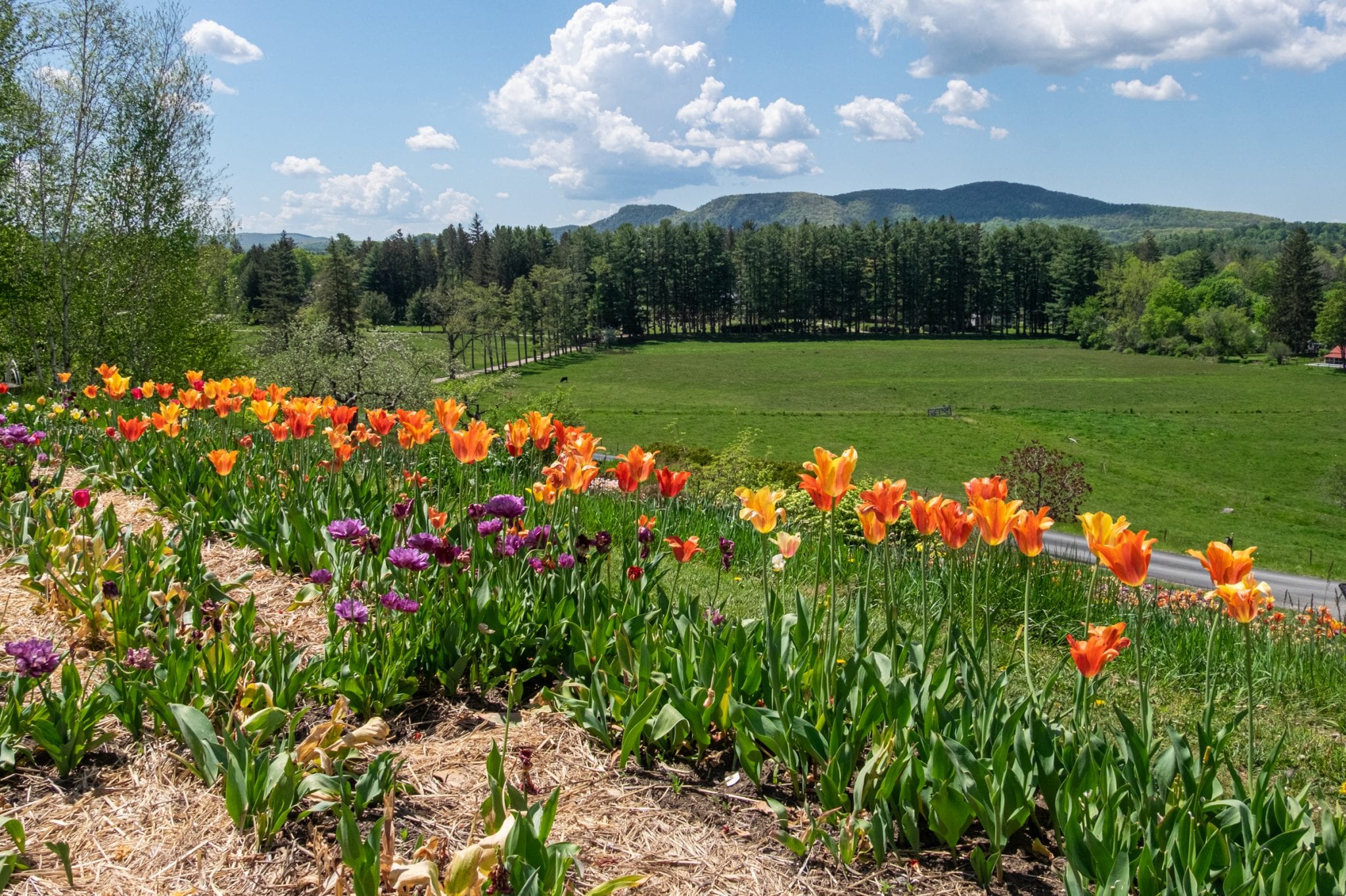 best things to do in the berkshires ma