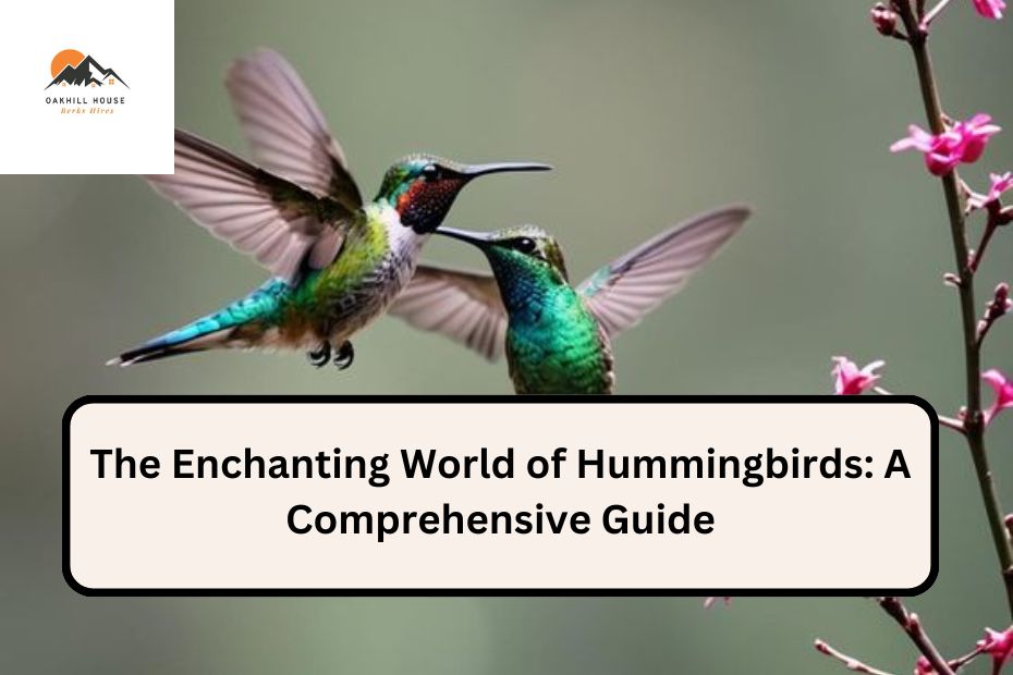 The Enchanting World of Hummingbirds: A Comprehensive Guide