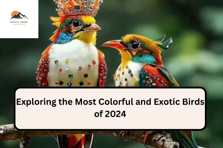 Exploring the Most Colorful and Exotic Birds of 2024