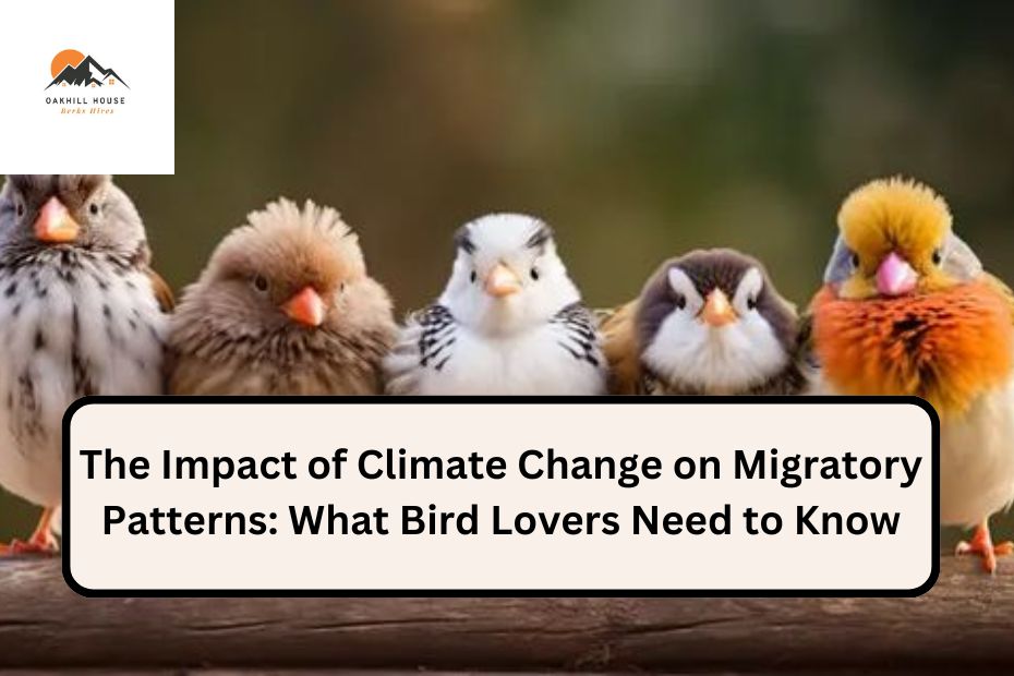 The Impact of Climate Change on Migratory Patterns: What Bird Lovers Need to Know