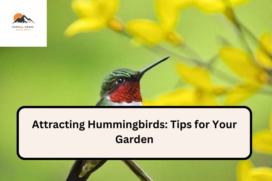 Attracting Hummingbirds: Tips for Your Garden